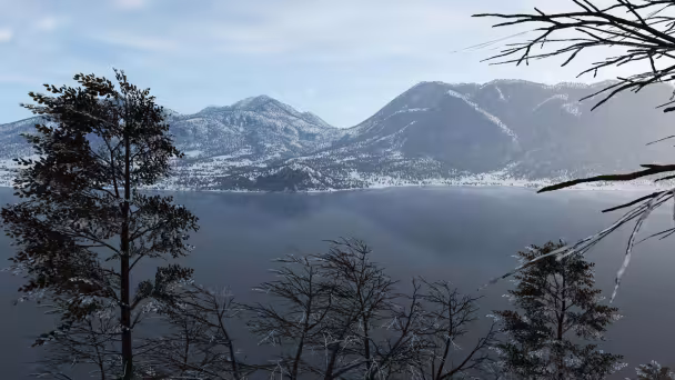 Global Forests V2 pro X-Plane 12 je nyn&iacute; dostupn&yacute;